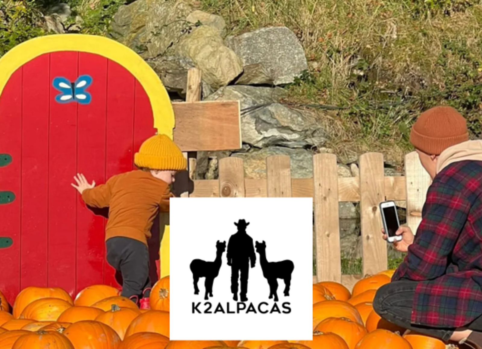 K2 Alpacas Pumpkin Patch – Wicklow