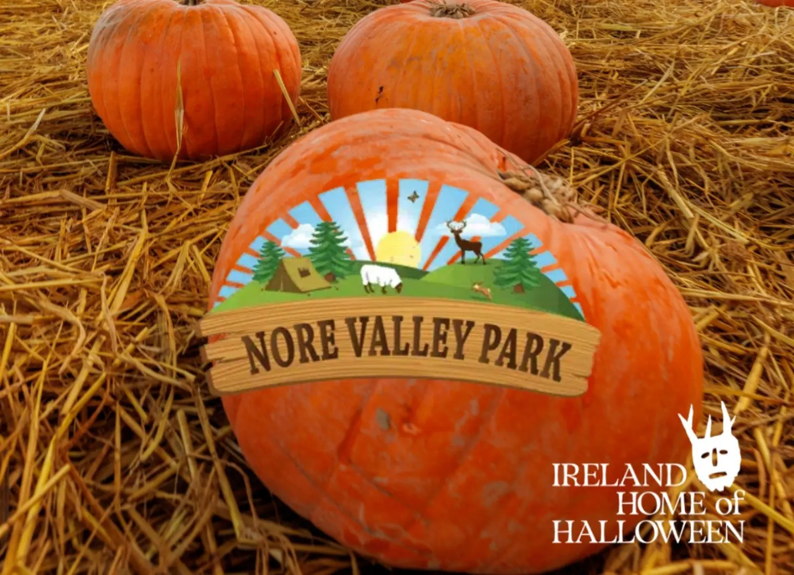 Nore Valley Park Pumpkin Picking & Carving - Kilkenny