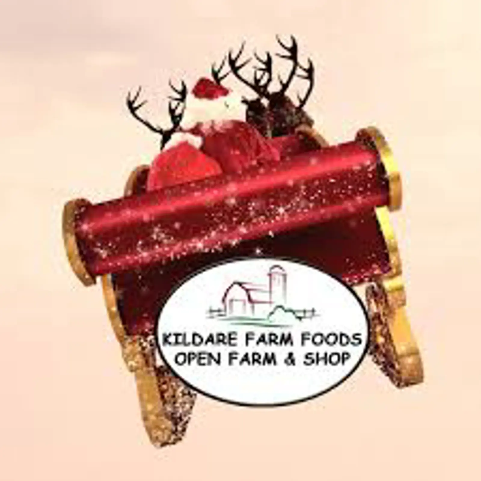 Additional Needs Santa Day Out at Kildare Farm Foods